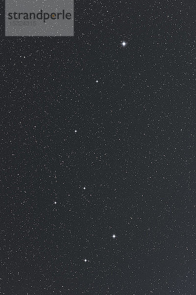 Die Fotografie zeigt das Sternbild Ursa Minor. Der hellste Stern im oberen Teil des Bildes ist der berühmte Polarstern.