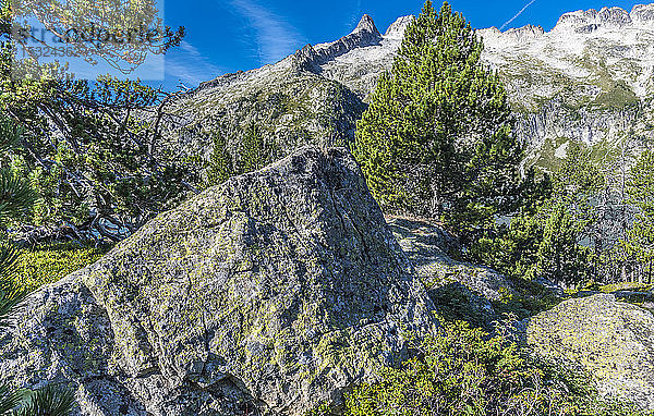 Frankreich  Hautes-Pyrenees  Haute Vallee d'Aure  Nationales Naturschutzgebiet Neouvielle  Gipfel der Neouvielle (oder Aubert) (2863 Meter hoch) vom Weg La Hourquette d'Aubert aus gesehen