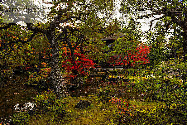 Der Silberne Pavillon-Tempel und seine schönen orange-roten Farben  Bezirk Higashiyama  Kyoto  Kansai  Honshu  Japan