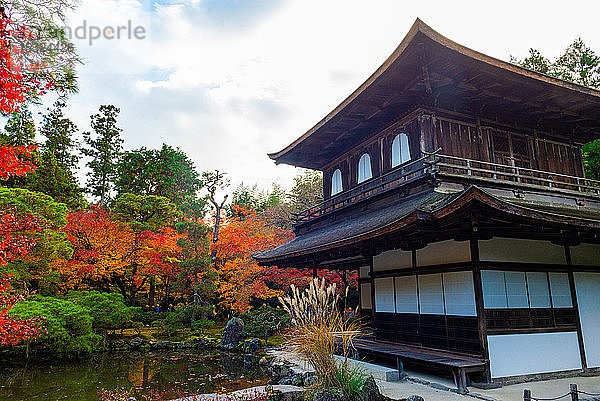 Der Silberne Pavillon-Tempel und seine schönen orange-roten Farben  Bezirk Higashiyama  Kyoto  Kansai  Honshu  Japan