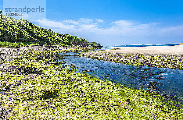Frankreich  Bretagne  Halbinsel Crozon  Telgruc sur Mer  Naturschutzgebiet l'Aber bei Ebbe