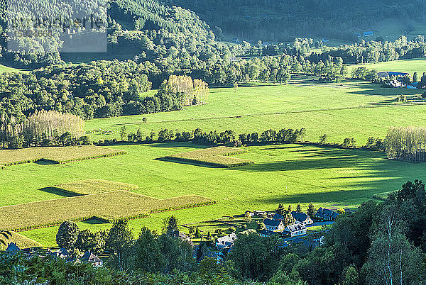 Frankreich  Pyrenäen-Nationalpark  Val d'Azun  Maisfeld in Aucun