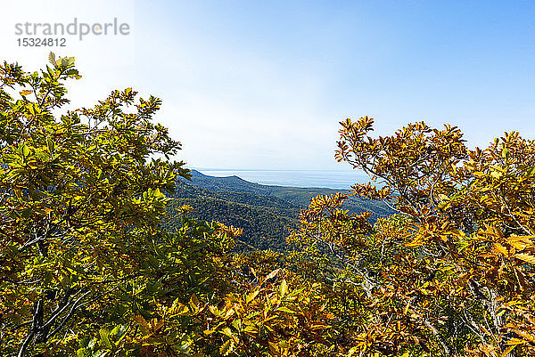 Wanderung im Shiretoko-Nationalpark  Präfektur Hokkaido  Japan