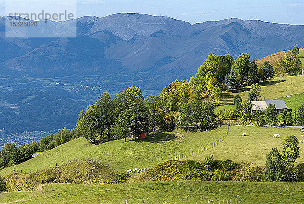 Frankreich  Pyrenäen-Nationalpark  Hautes-Pyrenees  Argeles-Gazost  Aufstieg zum Bahnhof Hautacam  Kühe und Ställe.