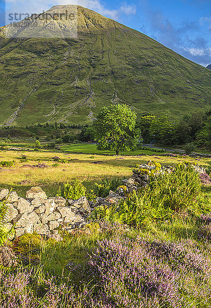 Europa  Großbritannien  Schottland  Highlands und Lochaber Geopark  Glen Coe Tal  Ort der Nachbildung von Hagrids Hütte (Harry Potter Film) und der Dreharbeiten zum Skyfall Film (James Bond)