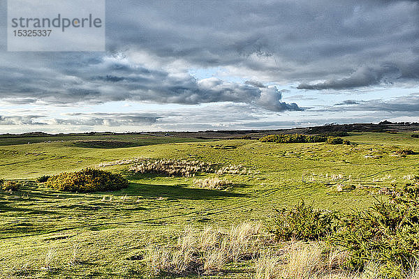 Normandie. Manche. Pointe d'Agon Coutainville. Naturschutzgebiet. Naturschutzgebiet im Winter.