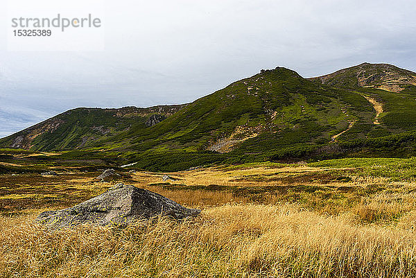 Wanderung im Daisetsuzan-Nationalpark  Präfektur Hokkaido  Japan