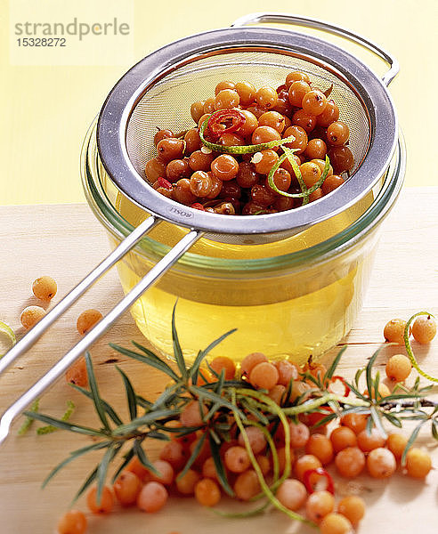 Hausgemachter Essig mit frischen Sanddornbeeren  Limettenschalen und Chili