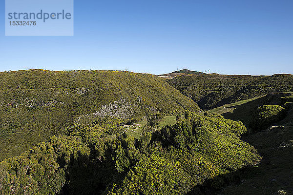 Portugal  Insel Madeira  Hochebene Paul da Serra  Levada do Risco