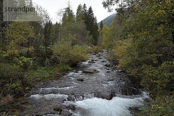 Italien  Südtirol  Ultental  Ultenthal: Gebirgsfluss