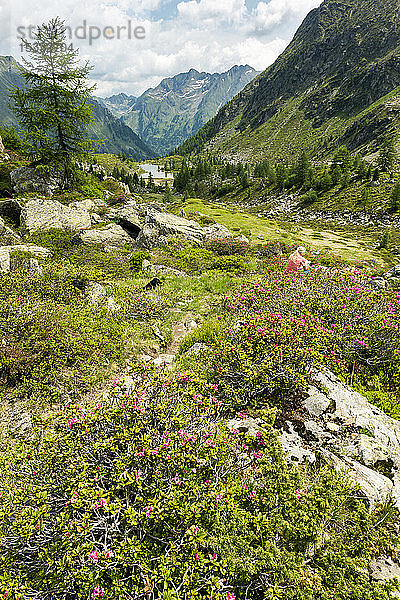 Österreich  UNESCO-Biosphärenpark Salzburger Lungau  Niedere Tauern  Unterer Schonalmsee und Bach