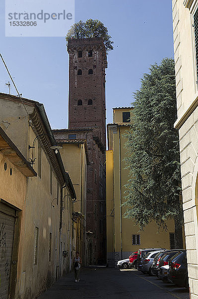 Italien  Toskana  Lucca  Guinigi Turm  gotische römische  45 Meter hoch und auf der Spitze gibt es 7 Eichen