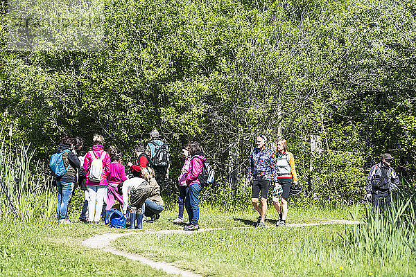 Italien  Friaul  Regionalpark Isonzomündung  Vogelschutzgebiet Isola della Cona  Besucher des Feuchtgebiets