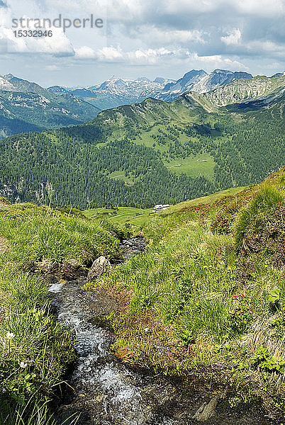 Österreich  UNESCO-Biosphärenpark Salzburger Lungau  Niedere Tauern  Twengeralm  Bach