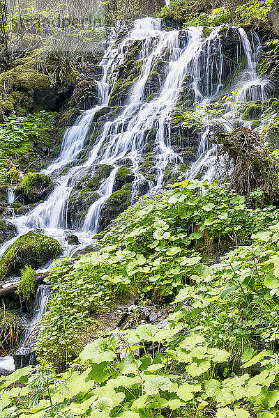 Österreich  UNESCO-Biosphärenpark Salzburger Lungau  Niedere Tauern  Weisspriachtal  Wasserfall