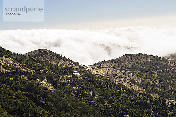 Portugal  Insel Madeira  die Straße zwischen dem Tal von Curral das Freiras und dem Pico do Arieiro