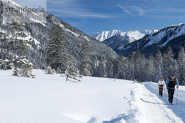 Österreich  Kleinwalsertal  Allgäuer Alpen  Schwarzwassertal; Fichtenwald  Weg zur Schwarzwasserhutte