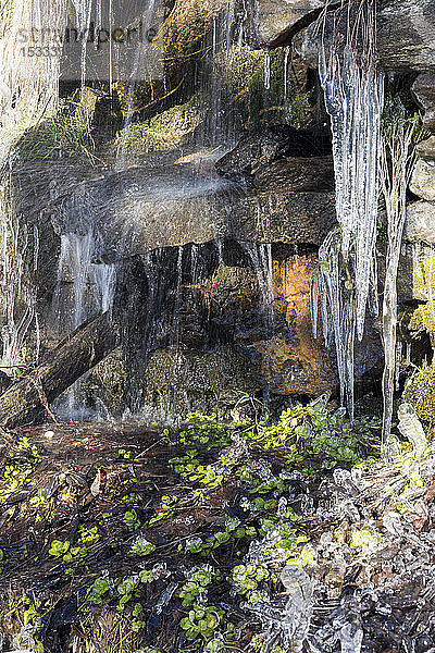 Italien  Lombardei  Retiche-Alpen  Camonica-Tal  Brunnen auf dem Weg zur alten Bergkirche San Clemente