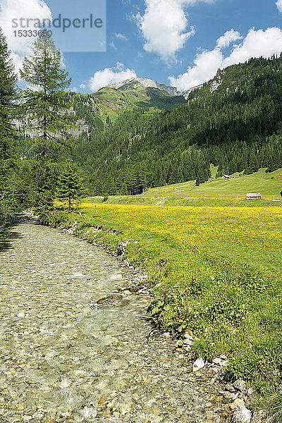 Österreich  UNESCO-Biosphärenpark Salzburger Lungau  Naturpark Riedingtal  Zederhausbach