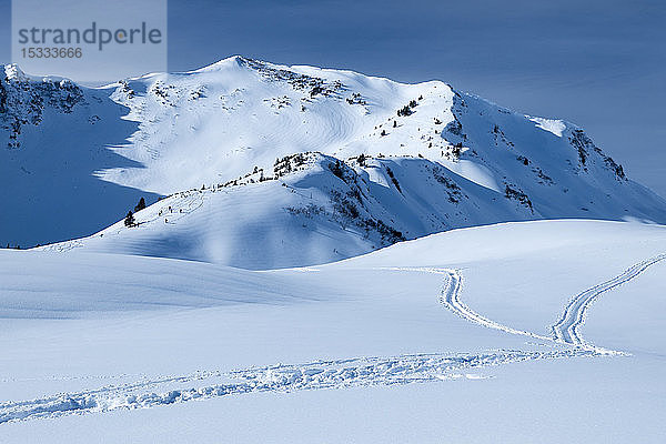 Österreich  Kleinwalsertal  Allgäuer Alpen  Schwarzwassertal  die Schwarzwasserhütte (1651 m); bg: Falzerkopf (1968 m)