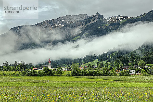 Österreich  Tirol  Lechtal  Weideland in der Nähe des Dorfes Wangle