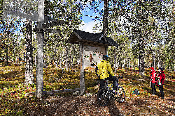 Radfahren im Park  Wanderer  Taigawald  Ruska-Zeit (Herbst)  Pallas-Yllastunturi-Nationalpark  Lappland  Finnland