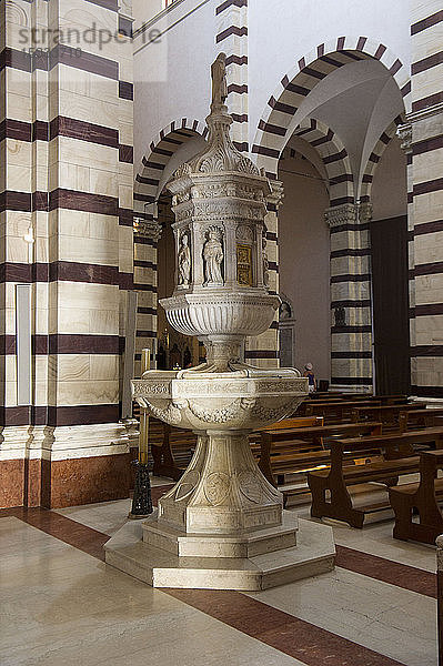 Europa  Italien  Toskana  Grosseto  Kathedrale San Lorenzo
