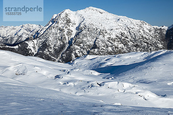 Italien  Lombardei  Regionalpark Orobie Alpen  Schneeschuhwandern  Piani d'Alben  bg.: Mt.Venturosa (1999 m)