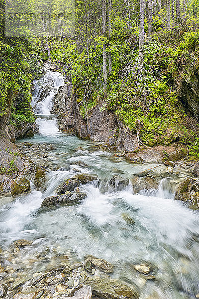 Österreich  UNESCO-Biosphärenpark Salzburger Lungau  Niedere Tauern  Weißpriachtal  Wasserfall entlang der Longa