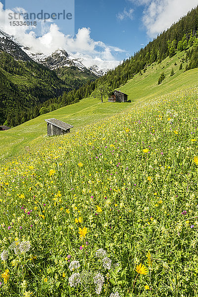 Österreich  Tirol  Allgäuer Alpen  Hornbachtal  ein Seitental der Lech-Wasserscheide  Wiese  Stadel