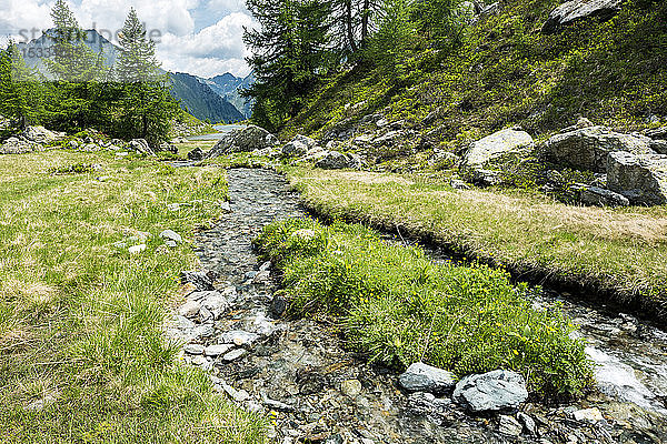 Österreich  UNESCO-Biosphärenpark Salzburger Lungau  Niedere Tauern  Unterer Schonalmsee und Bach