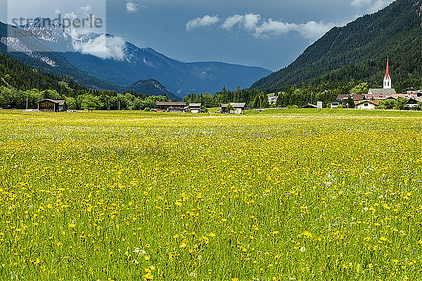 Österreich  Tirol  Naturpark Tiroler Lech  Lechtal  Weideflächen  Elmen Dorf