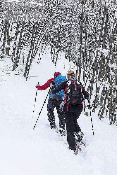 Italien  Lombardei  Regionalpark Orobie-Alpen  Schneeschuhwanderung auf dem Weg zum Grialeggio-Pass