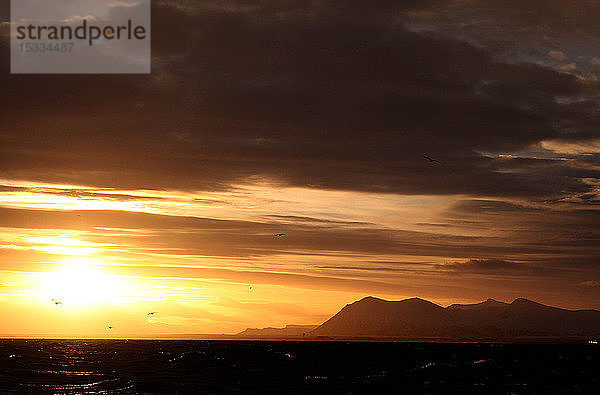 Norwegen  Vesteralen Inseln  Andenes bei Sonnenuntergang