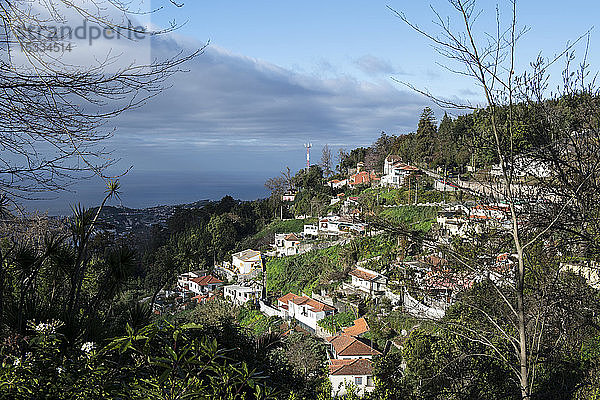 Portugal  Insel Madeira  Funchal  Monte