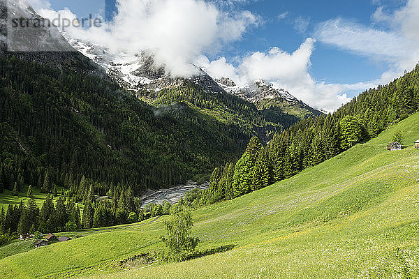 Österreich  Tirol  Allgäuer Alpen  Hornbachtal  ein Seitental der Lech-Wasserscheide