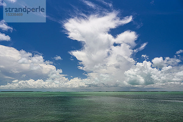 Meereslandschaft auf den Florida Keys  USA