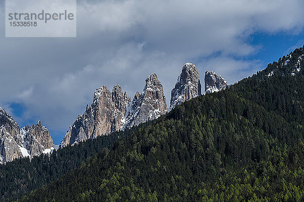 Wald zwischen Berggipfeln in den Dolomiten  Italien