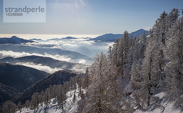 Kahle Bäume und Schnee auf einem Berg in Piemont  Italien