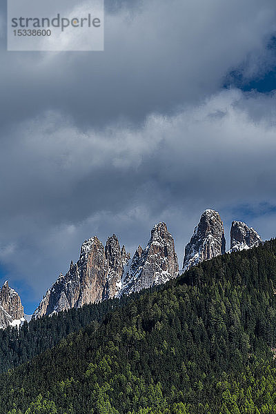 Wald zwischen Berggipfeln in den Dolomiten  Italien