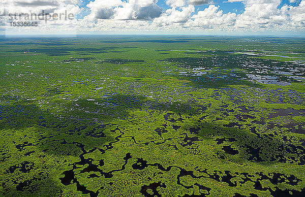 Luftaufnahme des Everglades-Nationalparks in Florida  USA