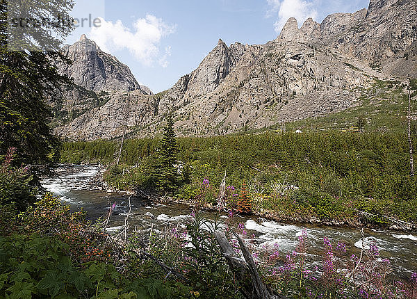 Berge und Fluss in Montana  USA