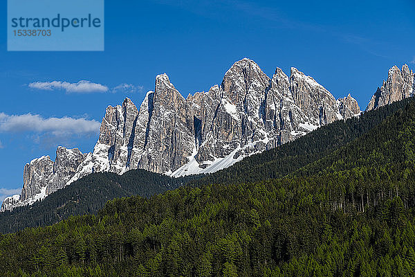 Wald zwischen Berggipfeln in den Dolomiten  Italien