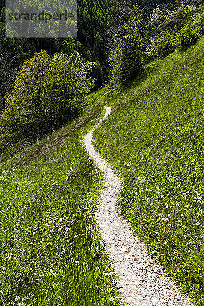 Panoramaweg durch die Felder in den Dolomiten  Italien