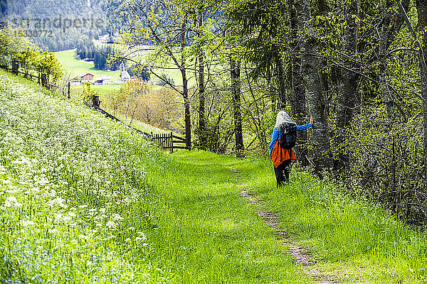 Frau beim Wandern durch Wildblumen in den Dolomiten  Italien