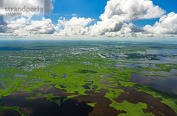 Luftaufnahme des Everglades-Nationalparks in Florida  USA