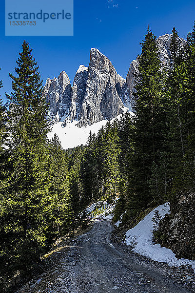 Straße durch den Wald unter dem Berg in den Dolomiten  Italien
