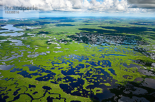 Luftaufnahme des Everglades-Nationalparks in Florida  USA