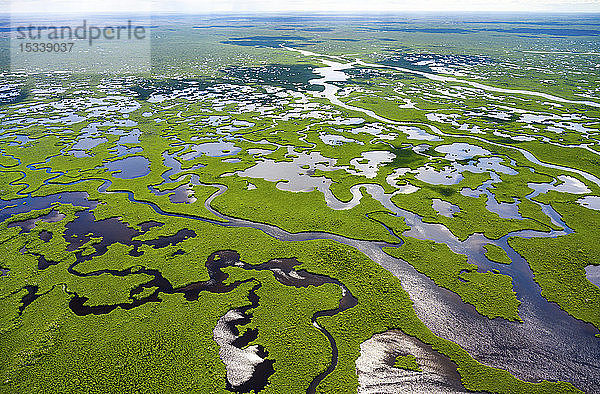 Luftaufnahme des Everglades-Nationalparks in Florida  USA