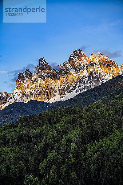 Wald zwischen Berggipfeln in den Dolomiten  Italien